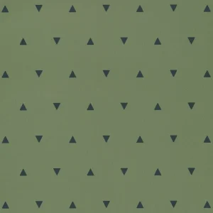 Triangulo de las Bermudas